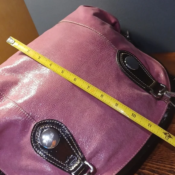 Pulicati purse